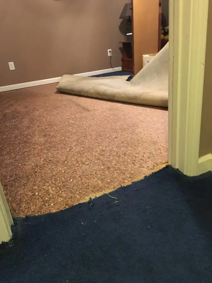 Carpet pad removal revealing water damage during Water Mitigation Services in Newington