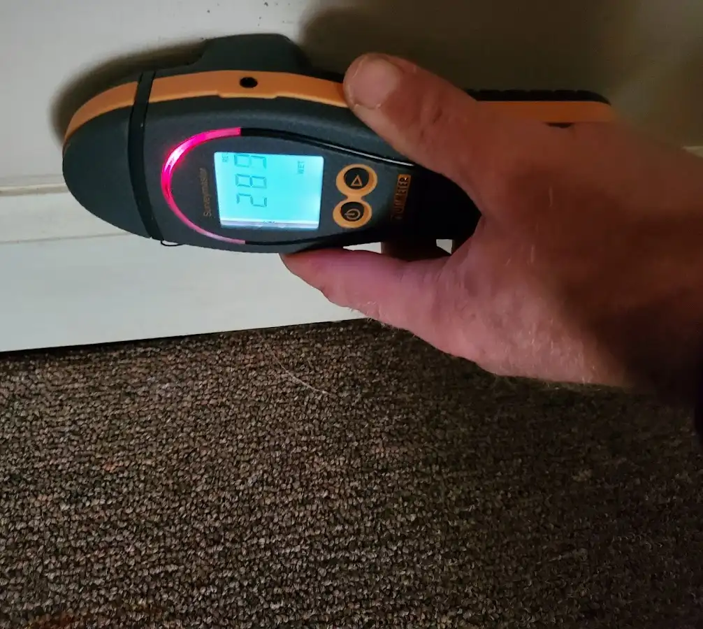 Moisture detection at baseboard during Sewage Cleanup & Sanitation in Newington